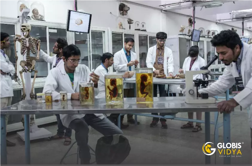 Study mbbs in Nobel medical college Nepal
